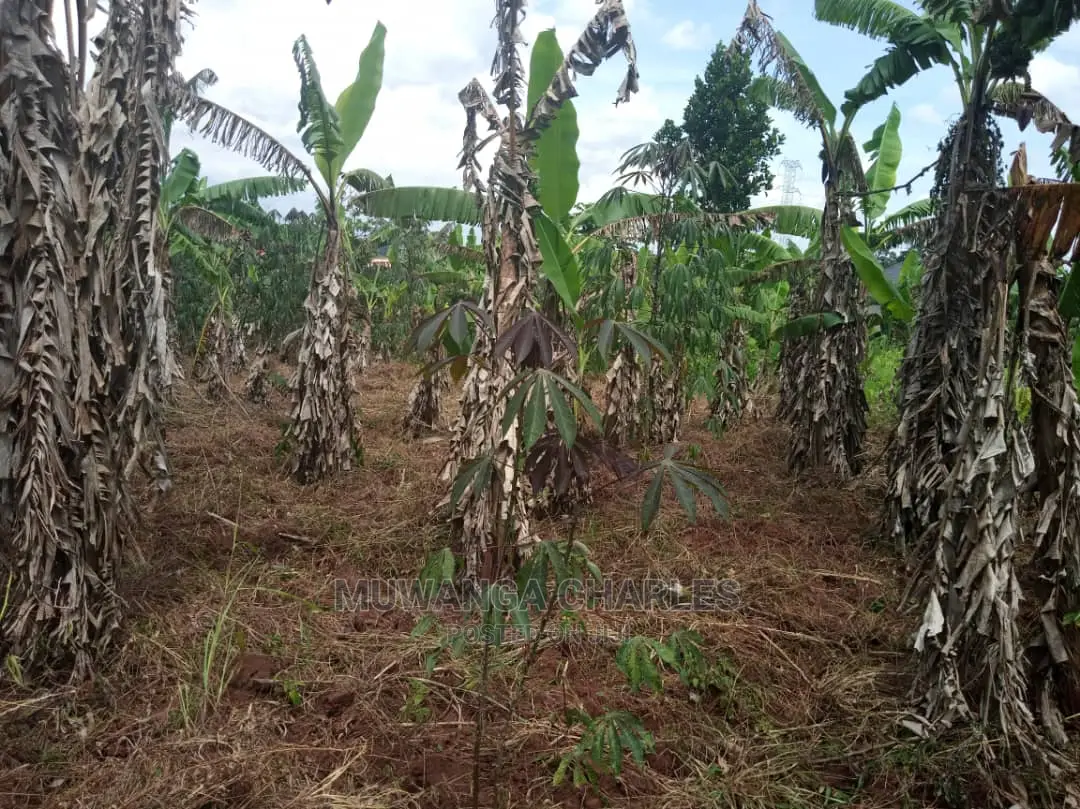 Plots in Gayaza Kalungu in Central Division