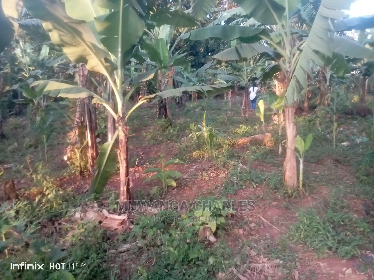 Plots in Kisasi Ssebagala Road on Quick Sale in Central Division