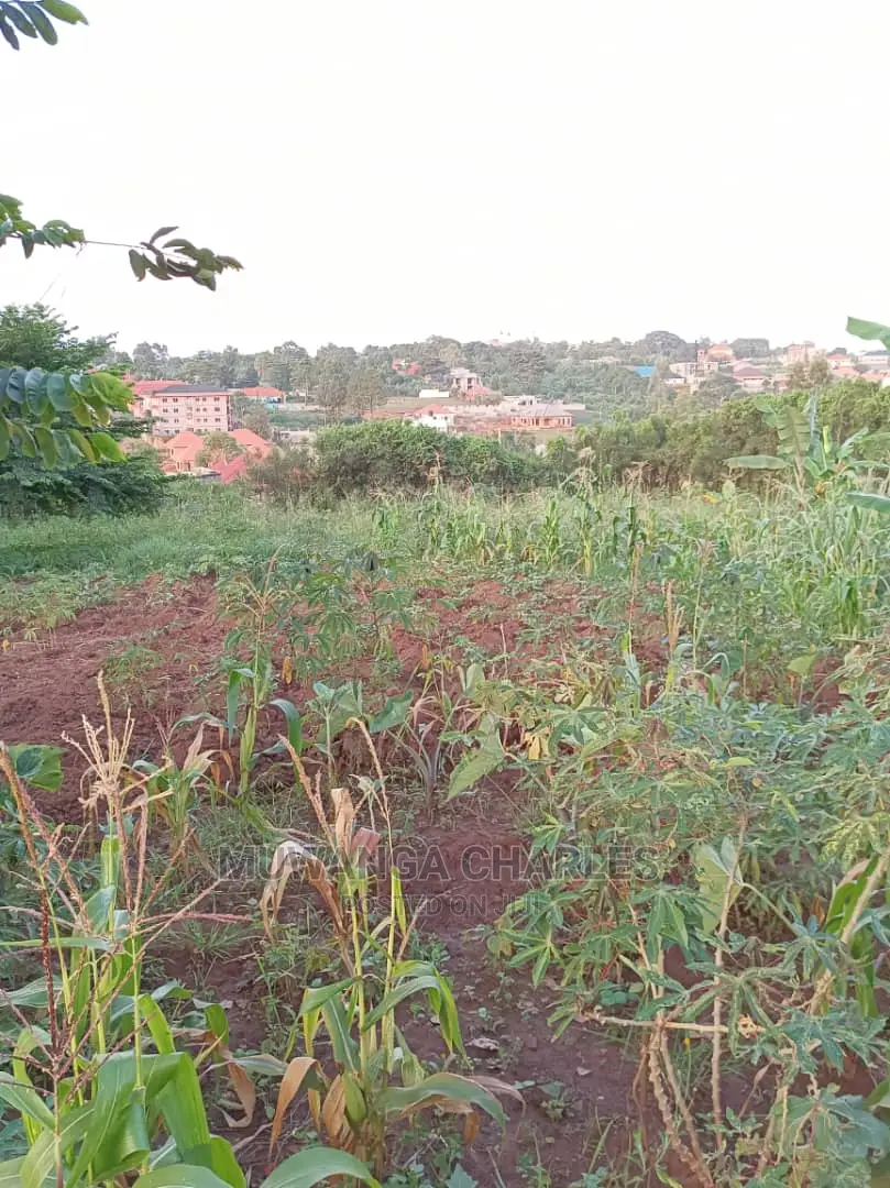 Plot in Kisasi Baha'i Road on Quick Sale in Central Division