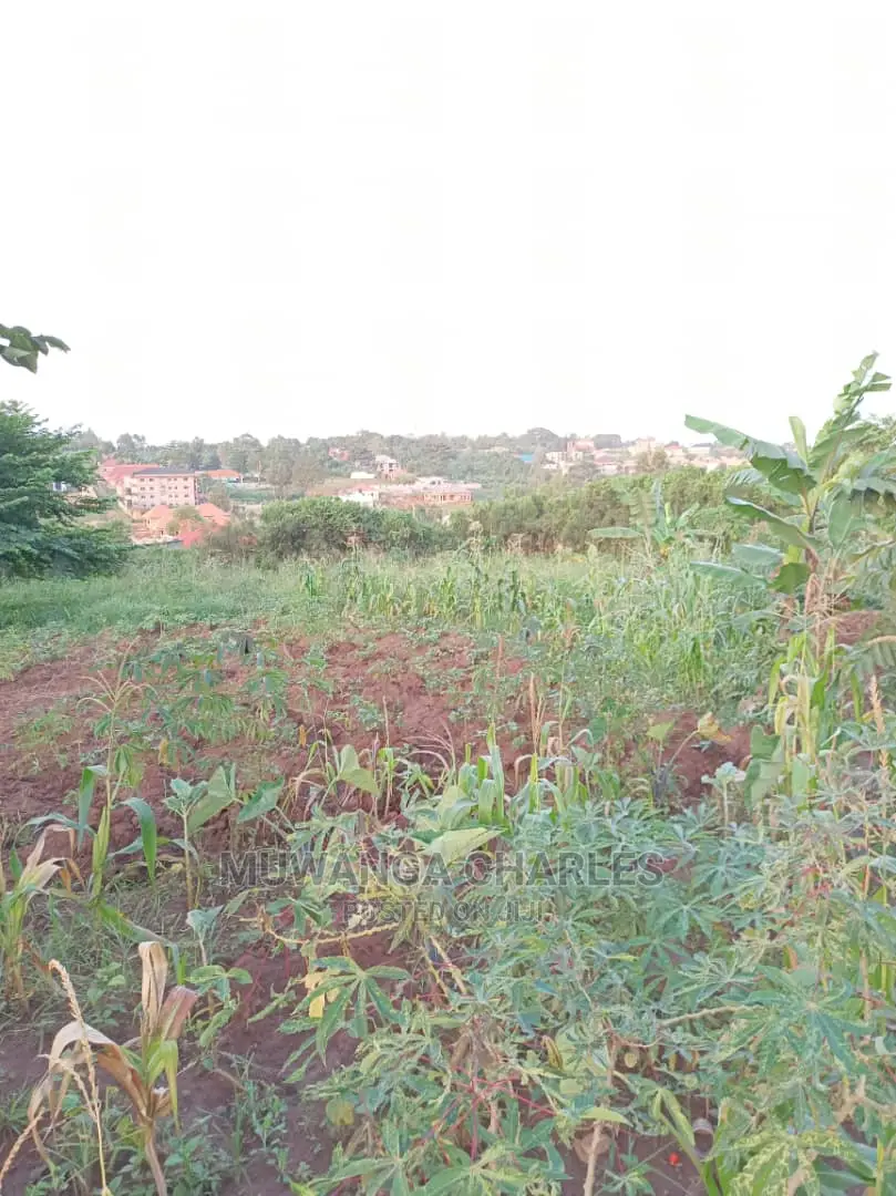 Plot in Kisasi Baha'i Road on Quick Sale in Central Division