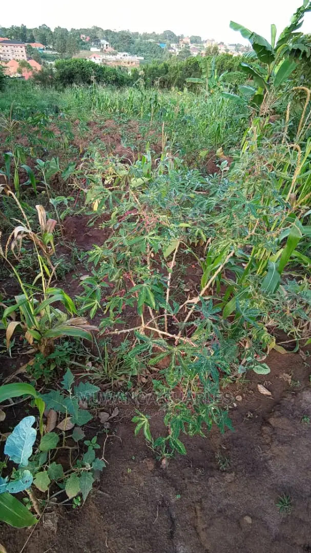 Plot in Kisasi Baha'i Road on Quick Sale in Central Division