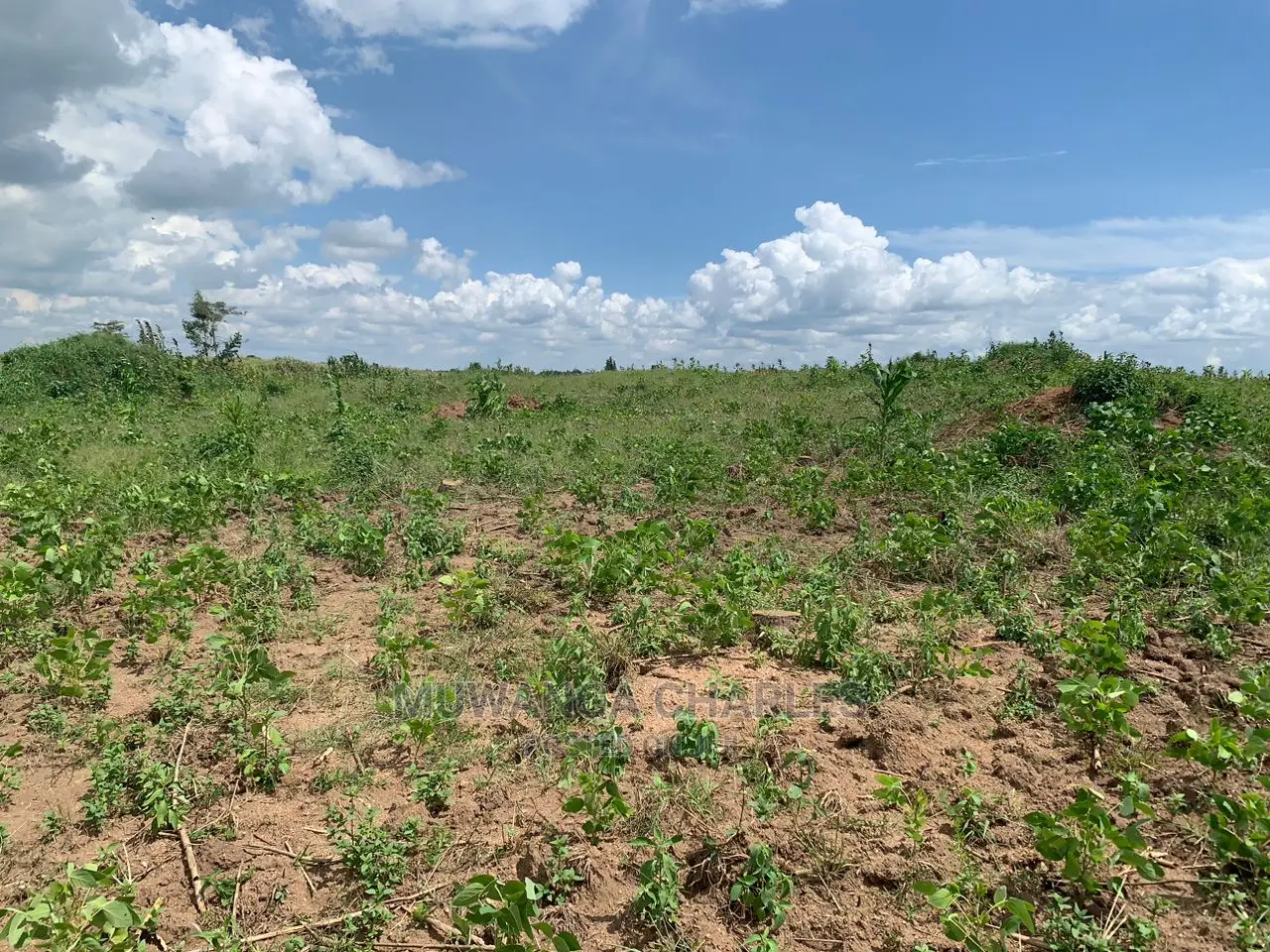 Plots in Kira on Quick Sale in Central Division