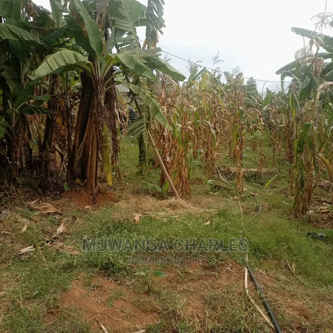 Plots in Kira on Quick Sale in Central Division