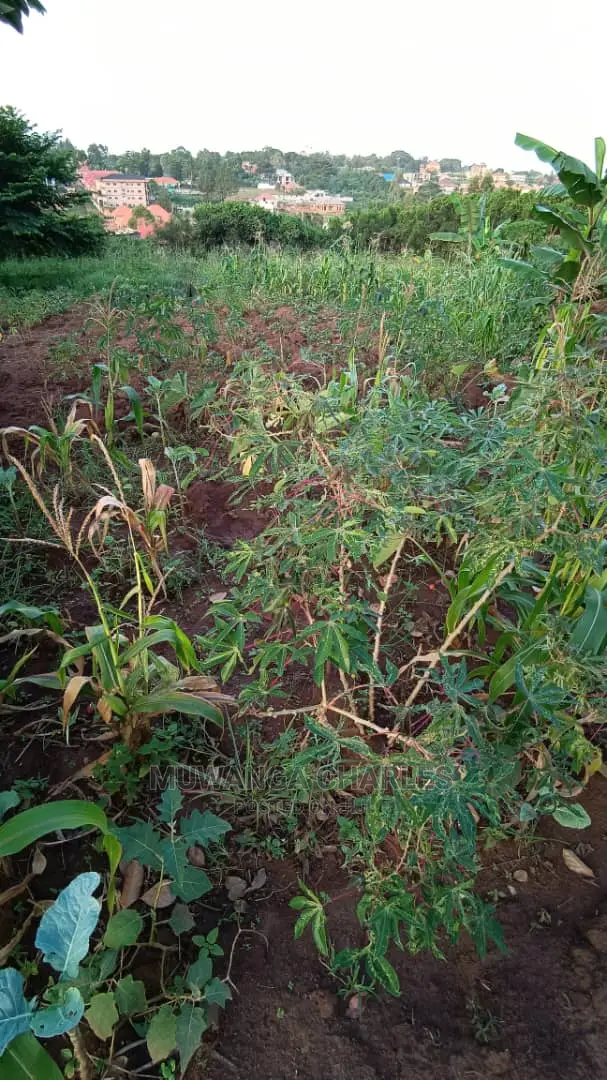 Plot's in Kira Kitukutwe on Quick Sale in Central Division