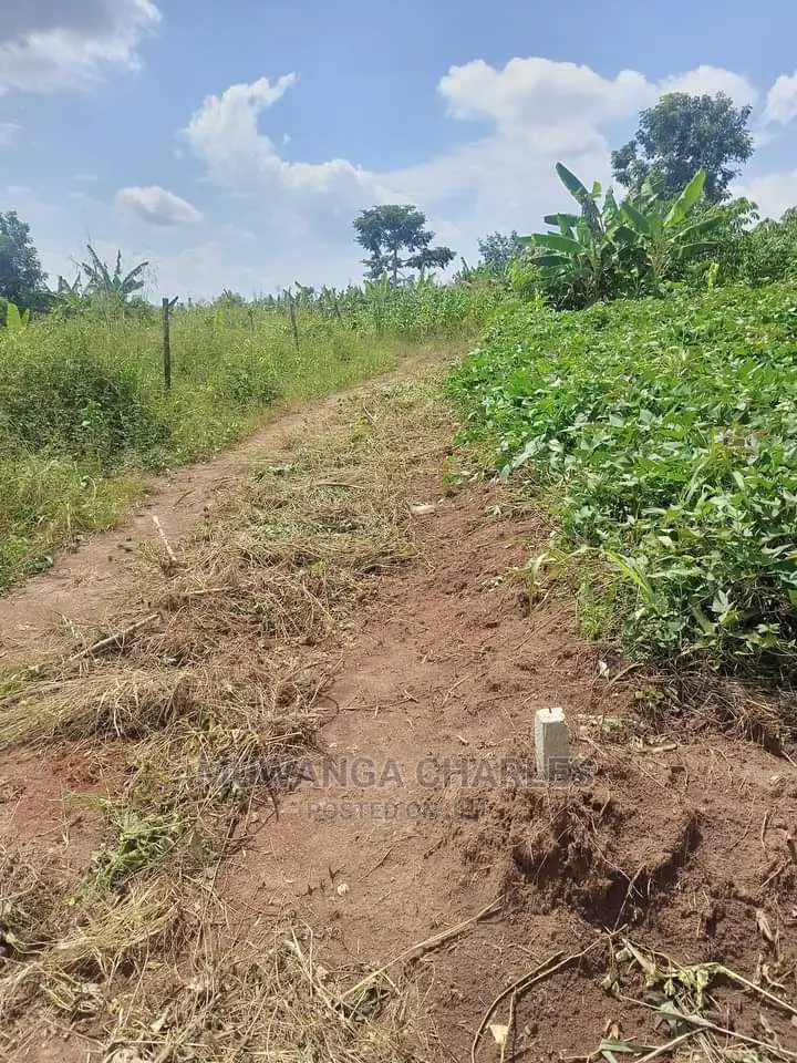 20acres of Land in Luwero on Quick Sale in Central Division