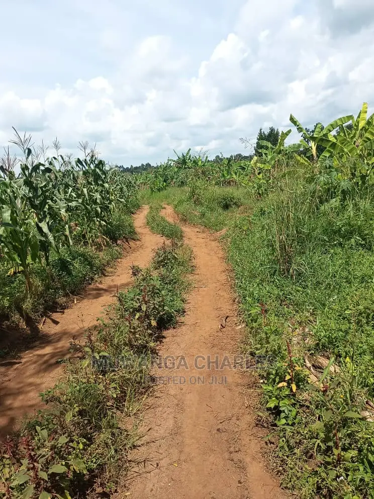 20acres of Land in Luwero on Quick Sale in Central Division