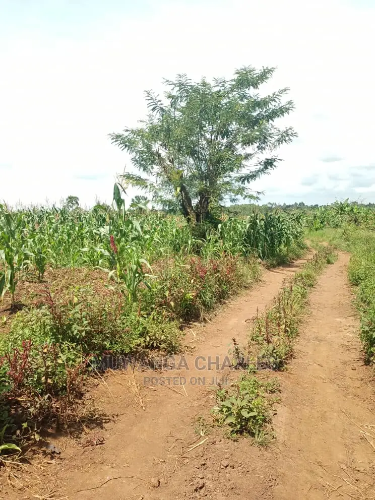 20acres of Land in Luwero on Quick Sale in Central Division
