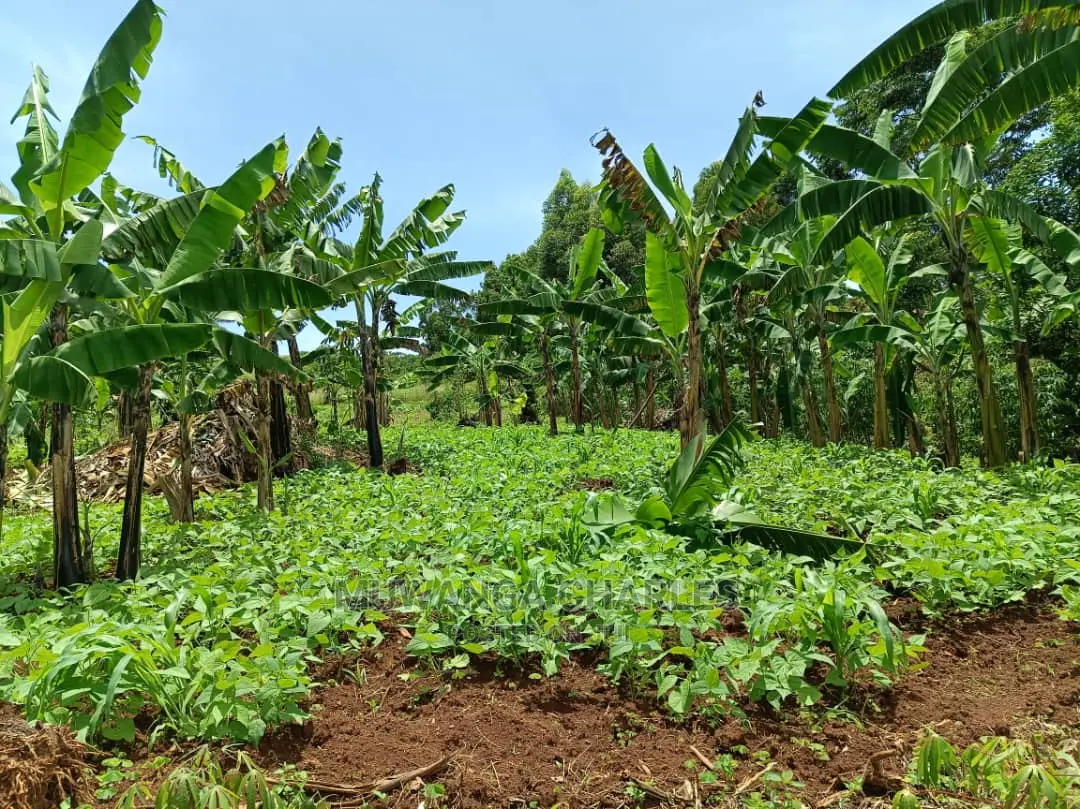 3acres of Land in Zirobwe on Quick Sale in Central Division