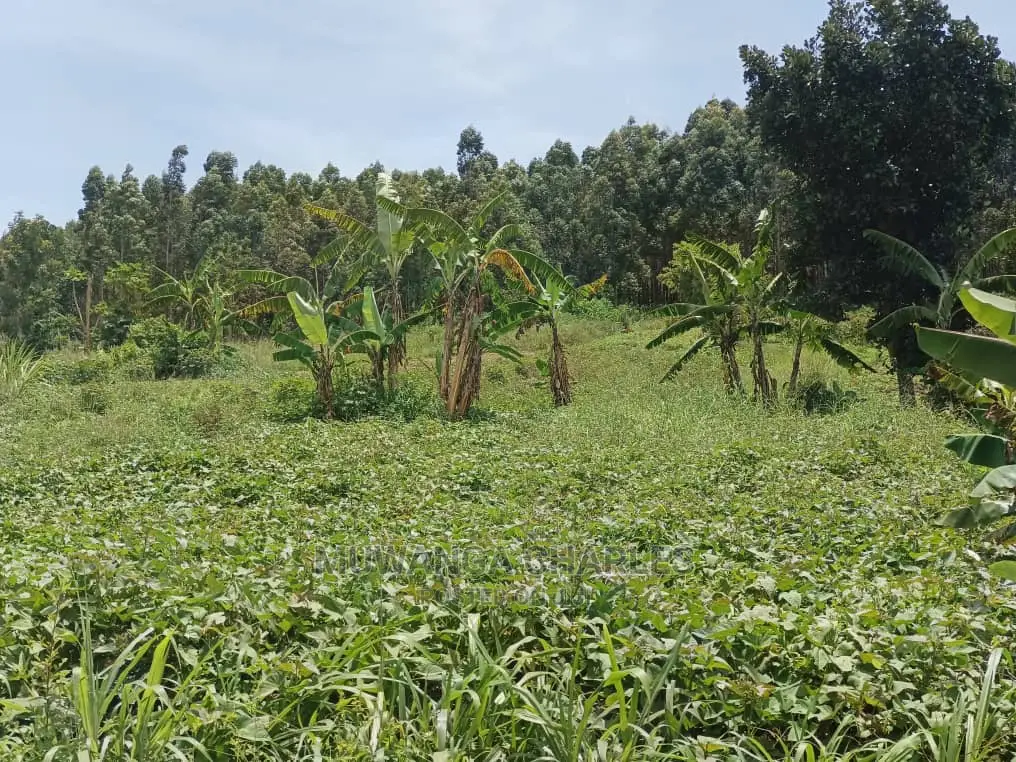 3acres of Land in Zirobwe on Quick Sale in Central Division