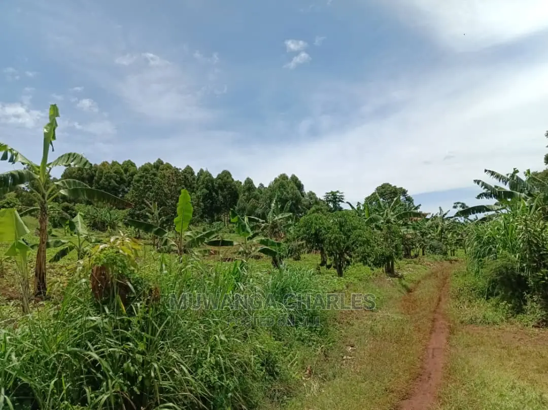 3acres of Land in Zirobwe on Quick Sale in Central Division