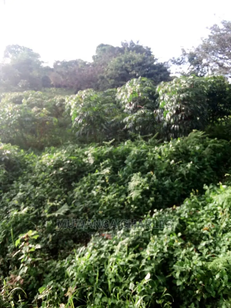 10acres of Land in Wabutungulu on Quick Sale in Central Division