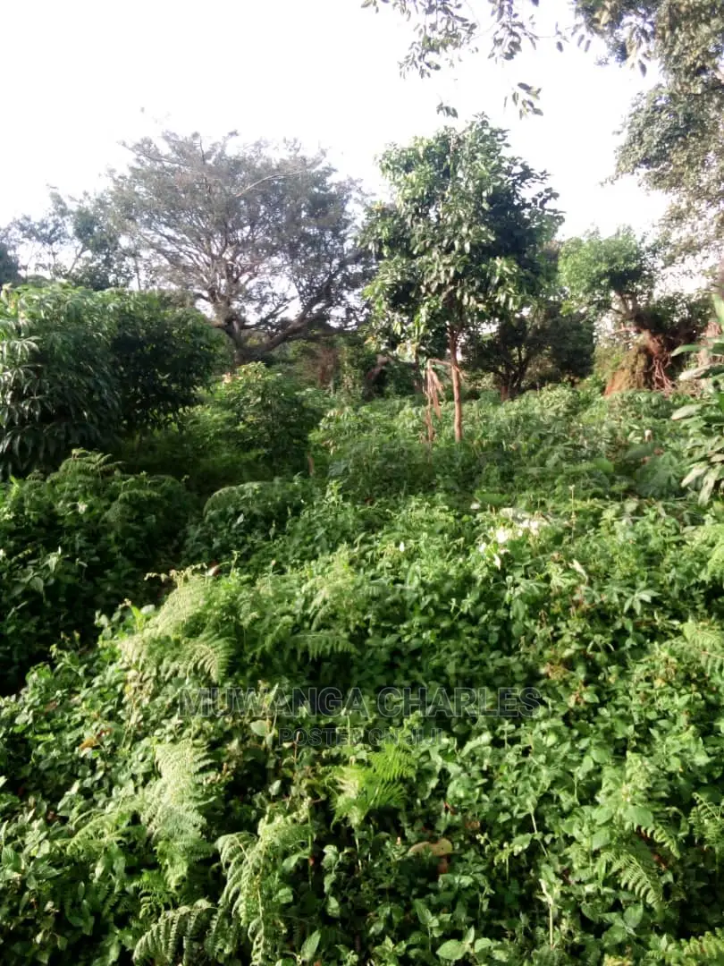 10acres of Land in Wabutungulu on Quick Sale in Central Division