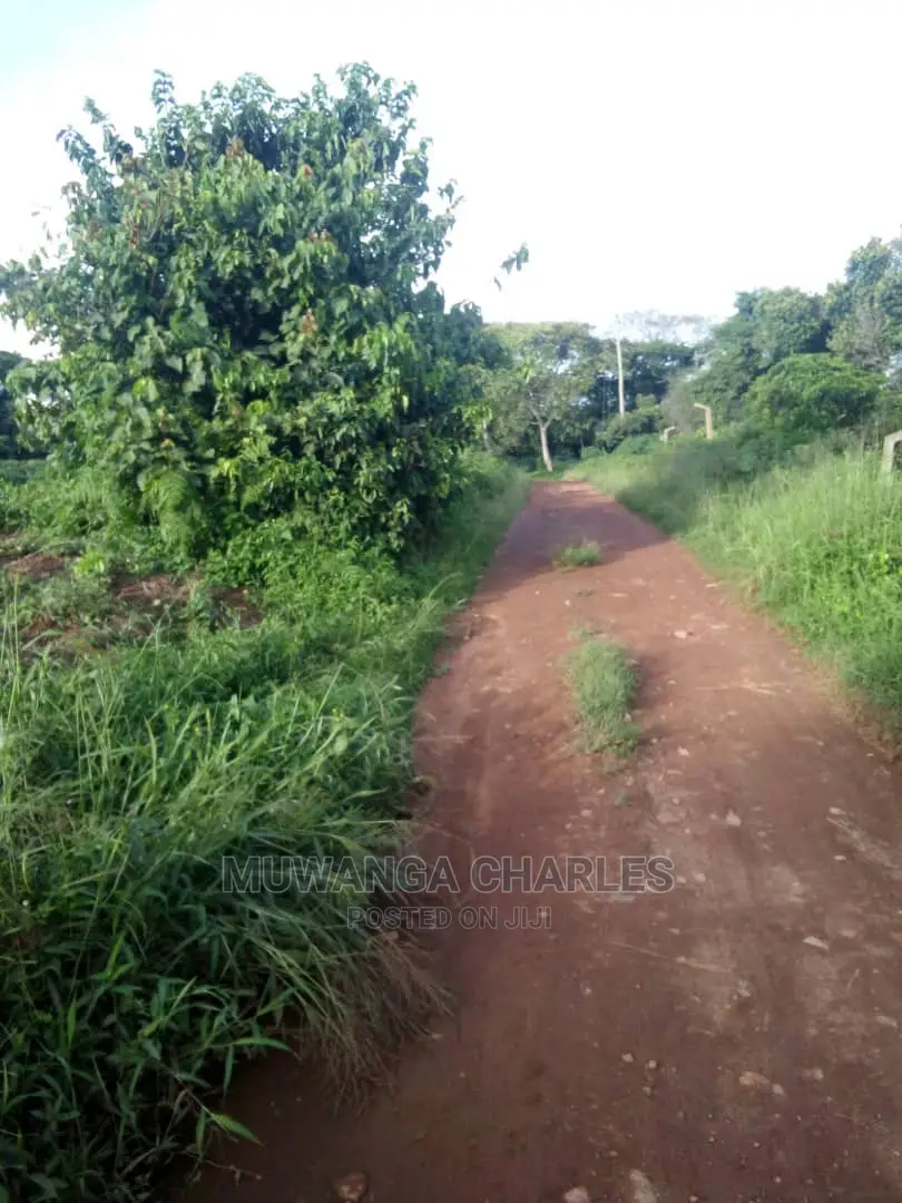 10acres of Land in Wabutungulu on Quick Sale in Central Division