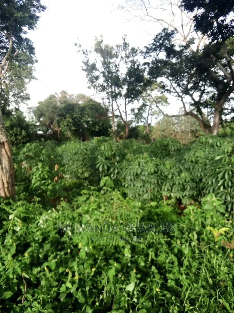 10acres of Land in Wabutungulu on Quick Sale in Central Division