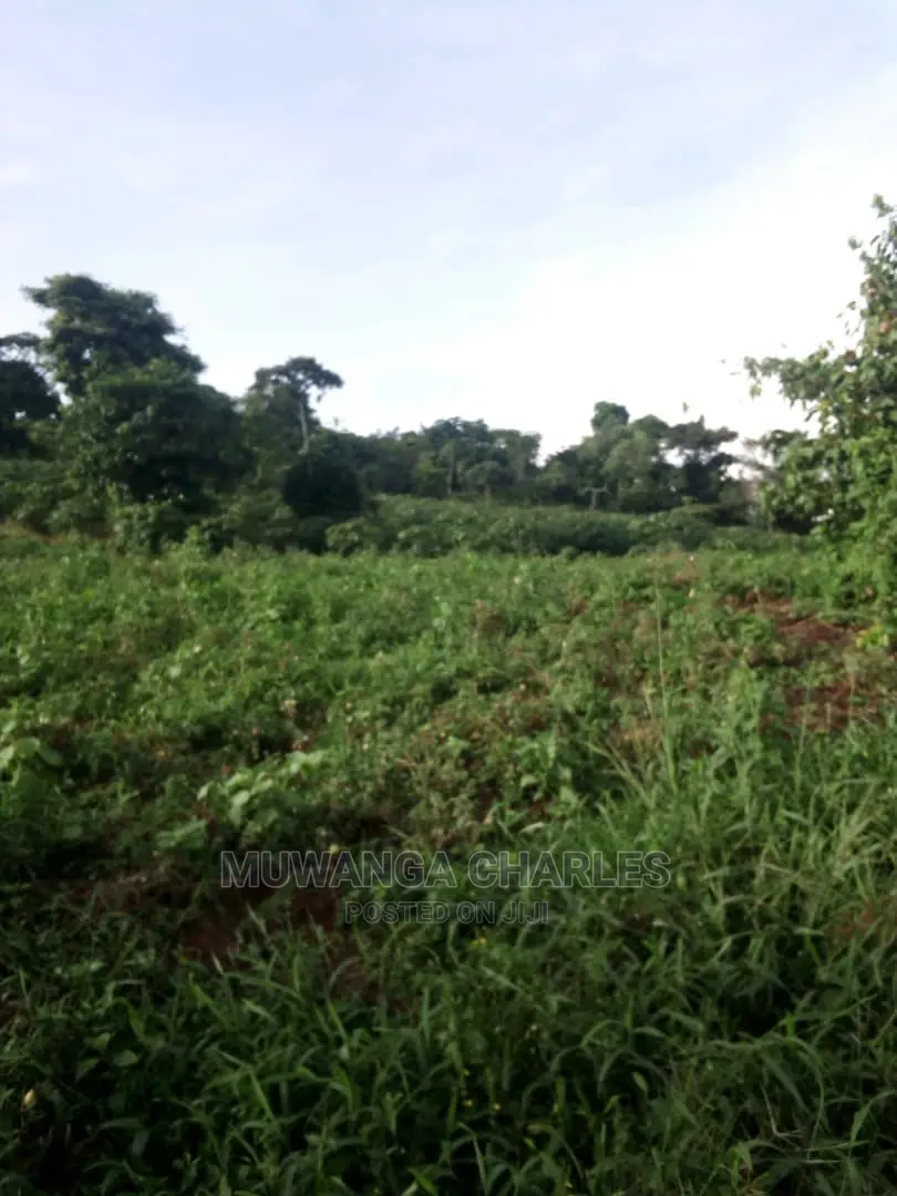 10acres of Land in Wabutungulu on Quick Sale in Central Division