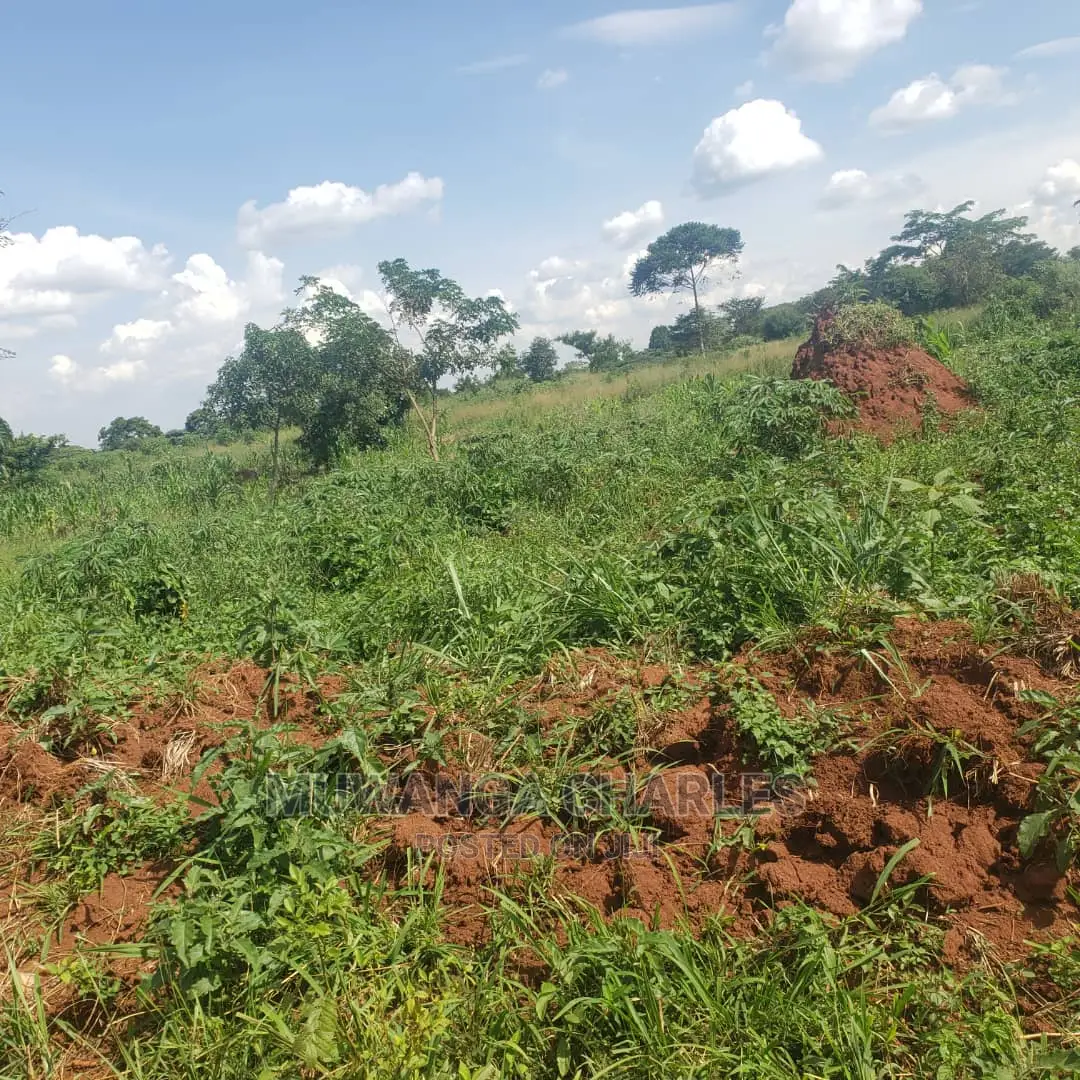 2acres of Land in Busika on Quick Sale in Central Division