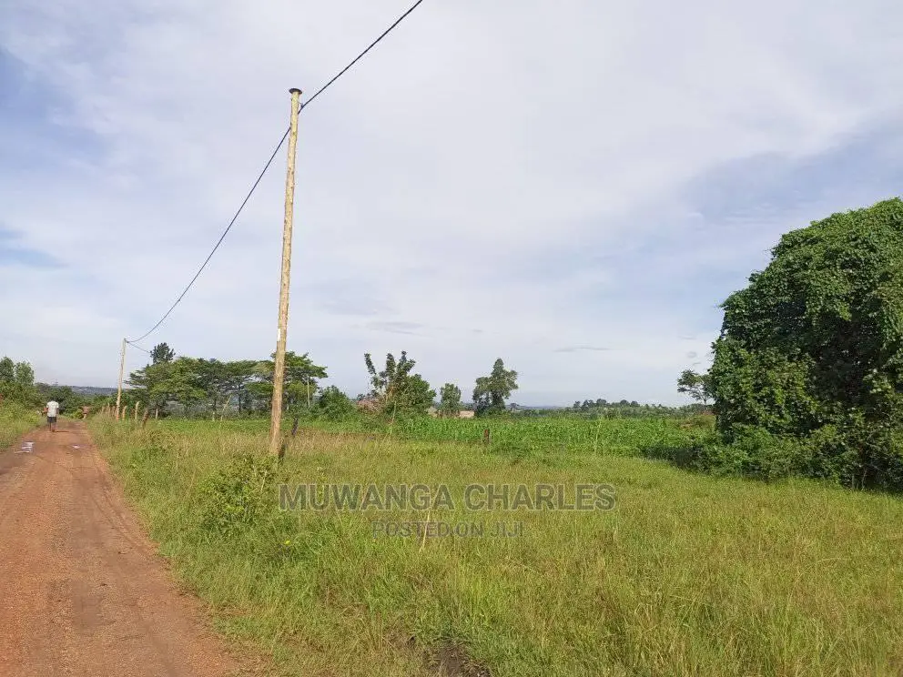2acres of Land in Busika on Quick Sale in Central Division