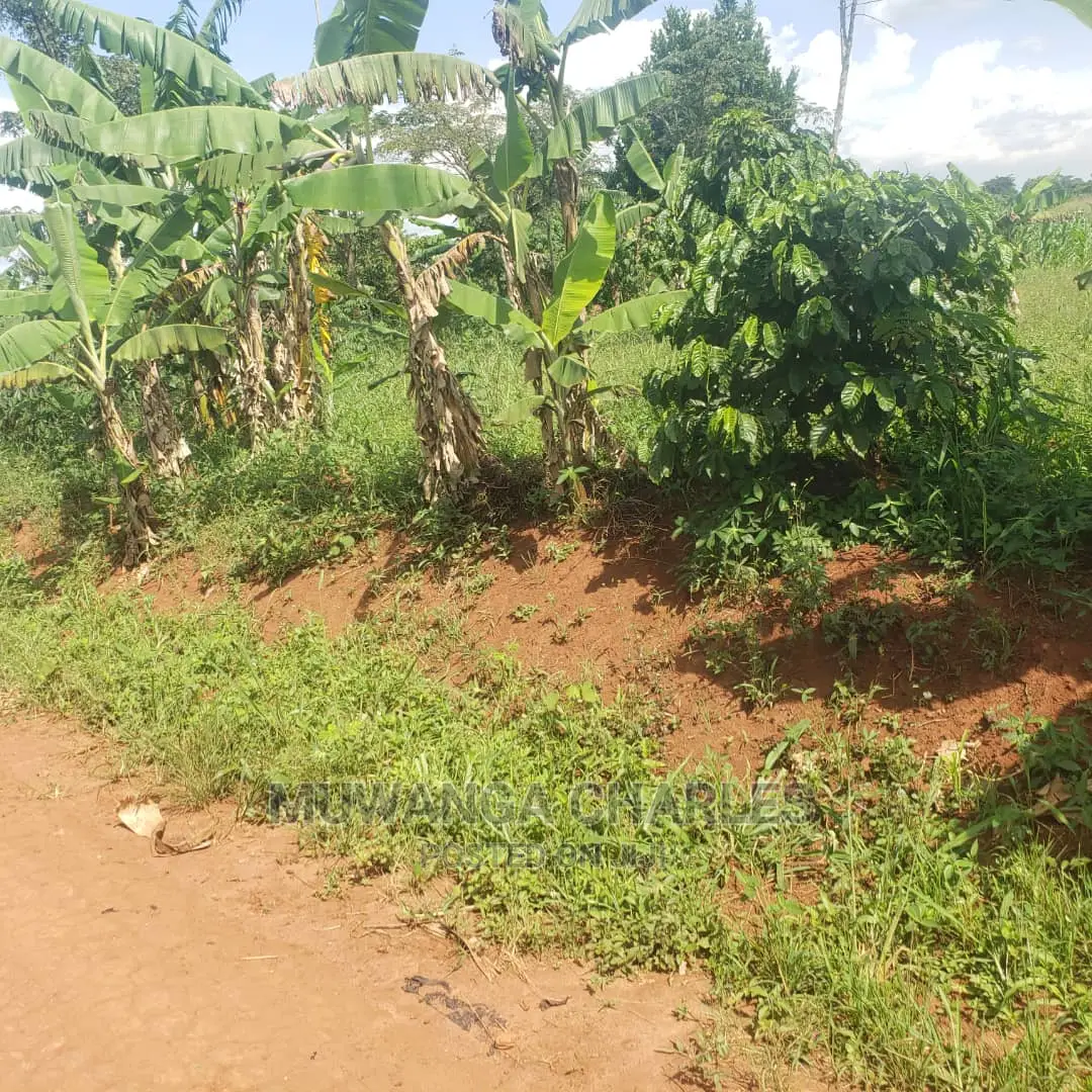 2acres of Land in Busika on Quick Sale in Central Division