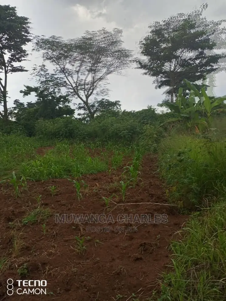 5acres in Zirobwe Namawoja on Sale in Central Division