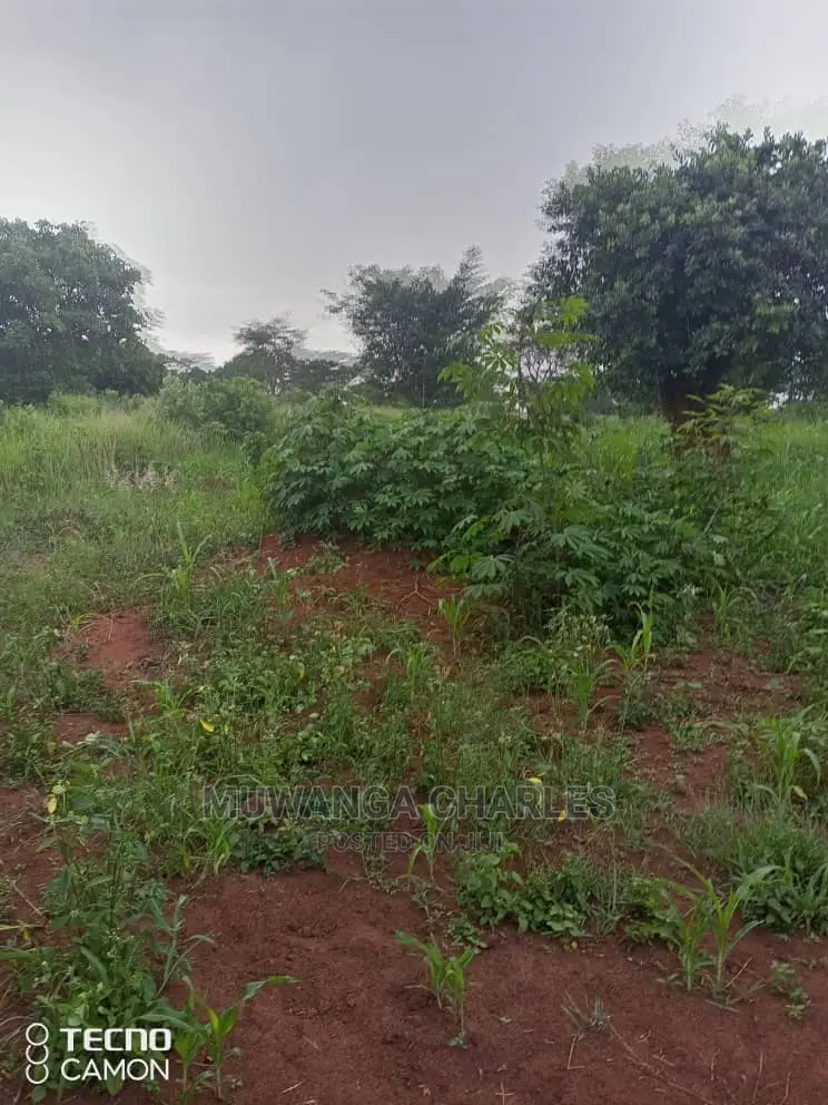 5acres in Zirobwe Namawoja on Sale in Central Division