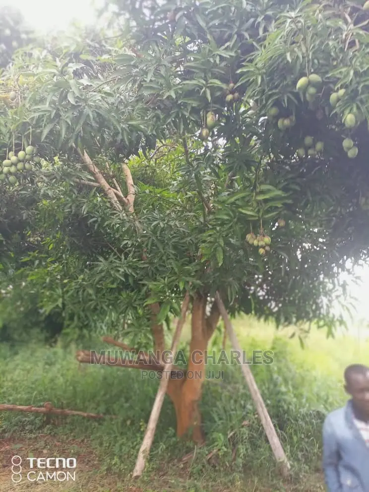 5acres in Zirobwe Namawoja on Sale in Central Division