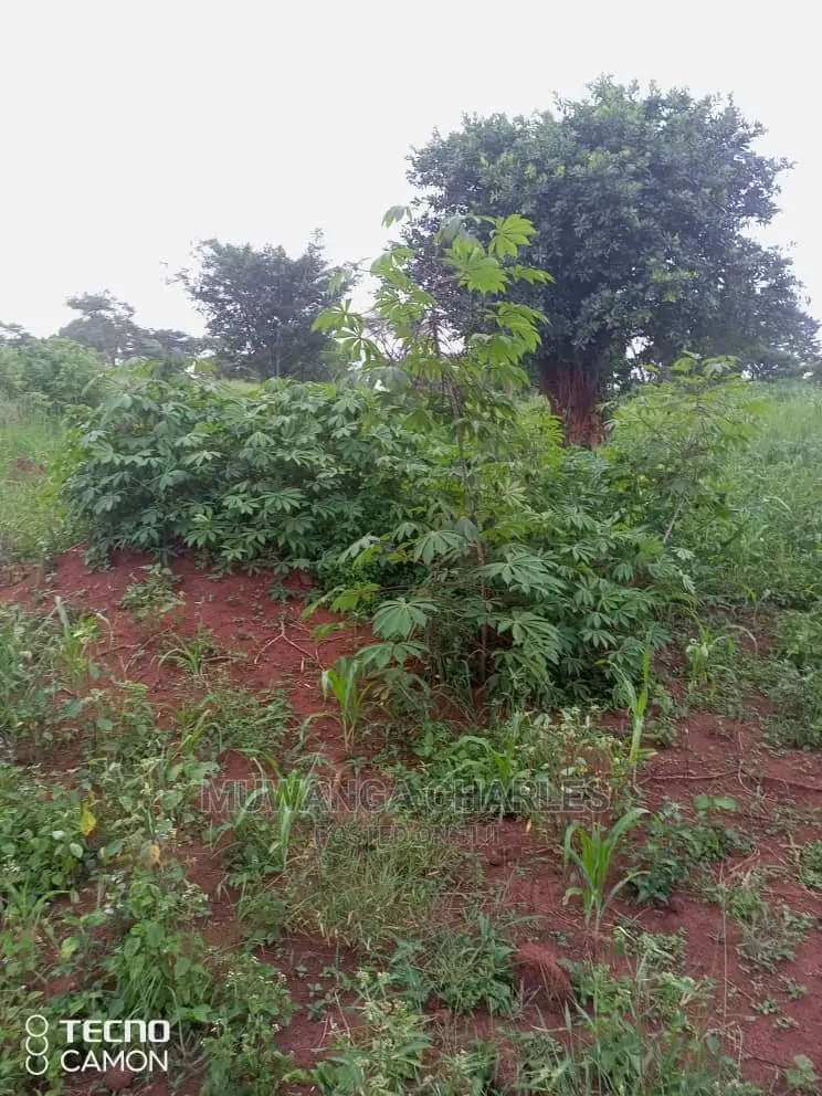 5acres in Zirobwe Namawoja on Sale in Central Division