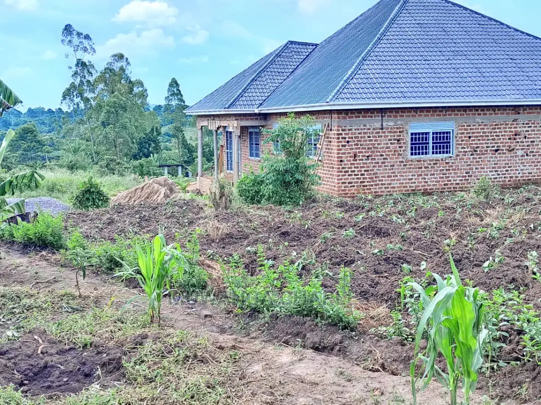 Plot's in Kira on Quick Sale in Central Division