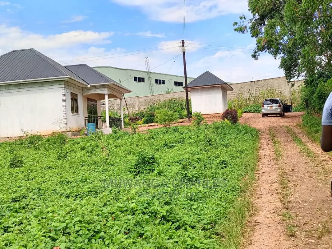 Plot's in Kira on Quick Sale in Central Division