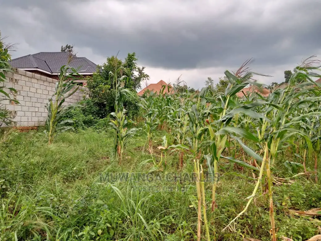 Plot in Kyanja on Sale in Central Division