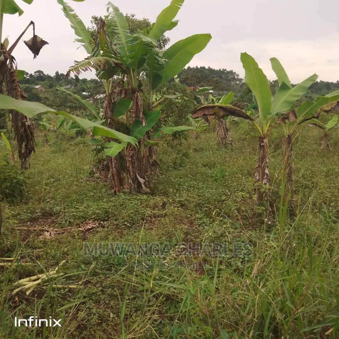 Plot's in Gayaza on Quick Sale in Central Division