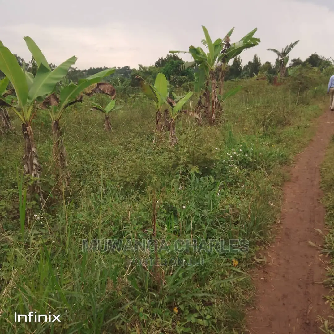 Plot's in Gayaza on Quick Sale in Central Division