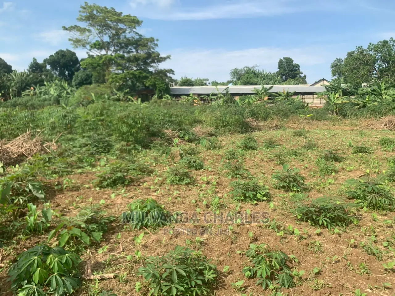 Plot's in Gayaza on Quick Sale in Central Division