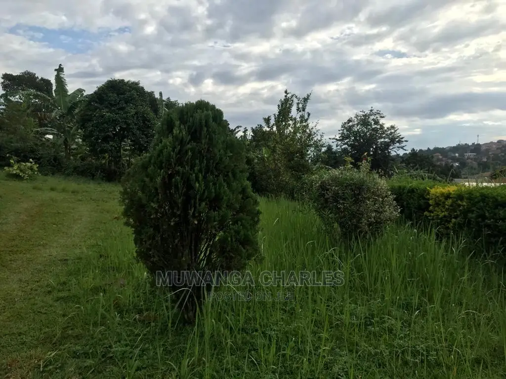 Plots in Kira Kitukutwe on Sale in Central Division