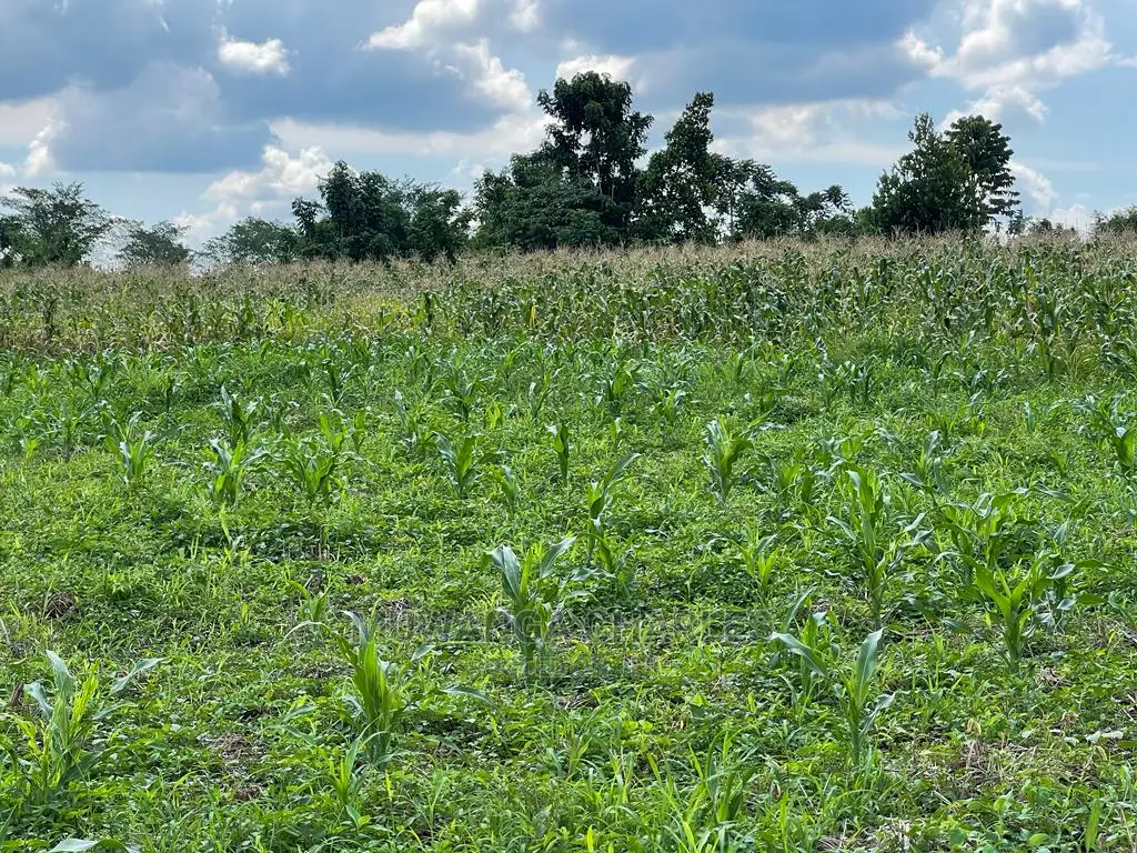 Plots in Kira Kitukutwe on Sale in Central Division