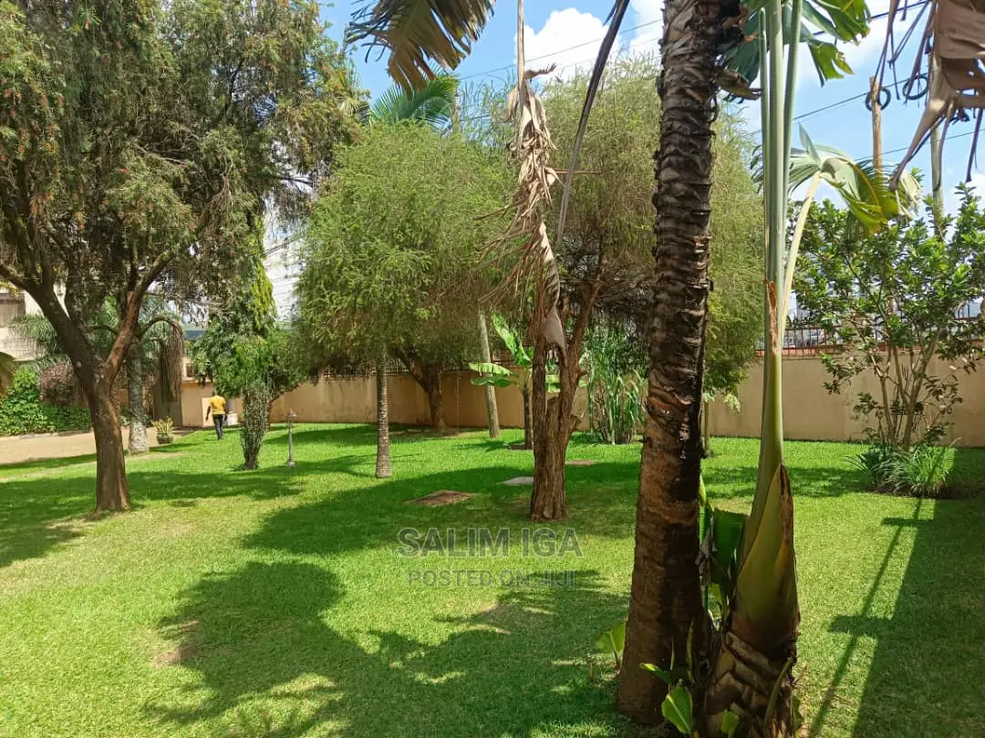4bdrm Bungalow in Kololo Property, Nakawa for rent in Nakawa