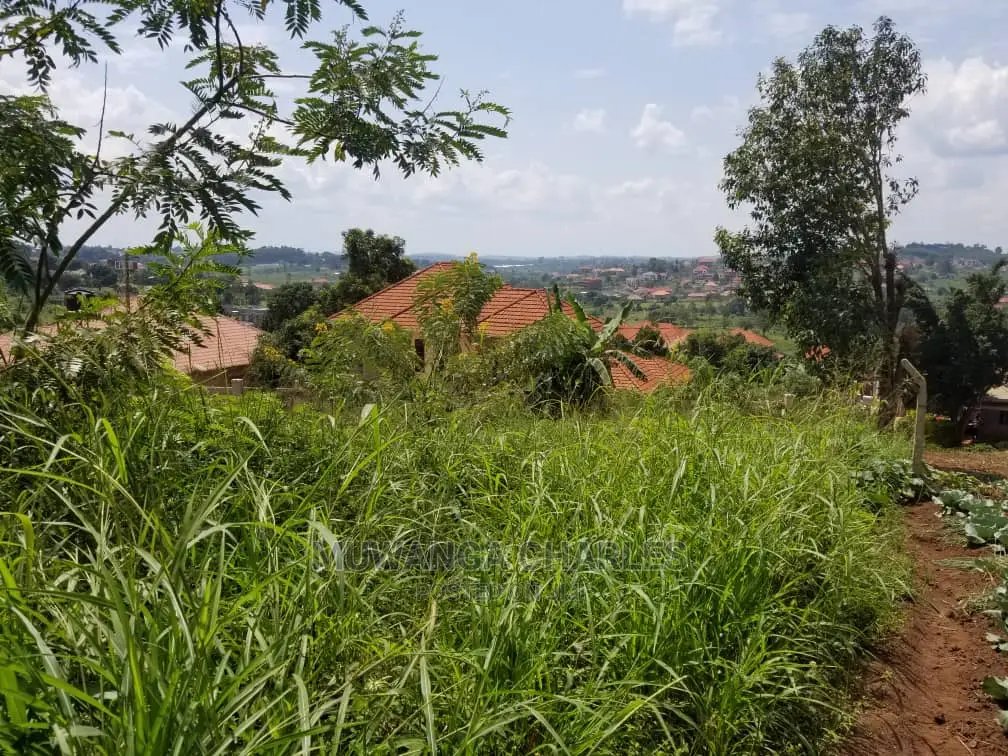Plot in Buwate on Quick Sale in Central Division