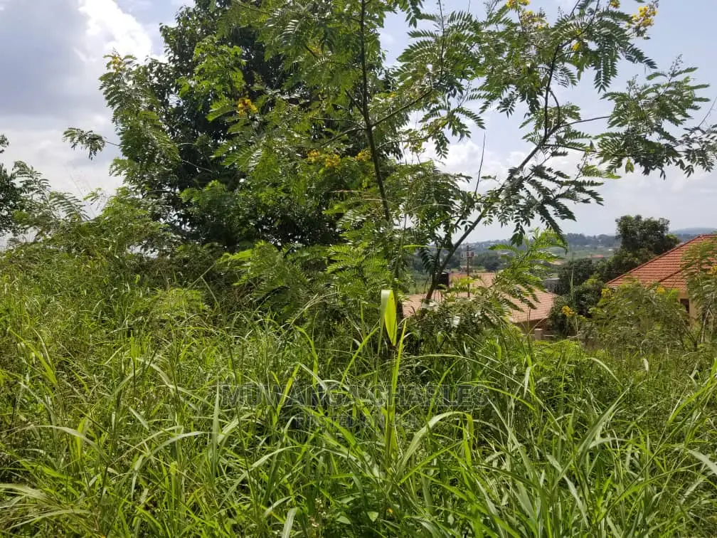 Plot in Buwate on Quick Sale in Central Division