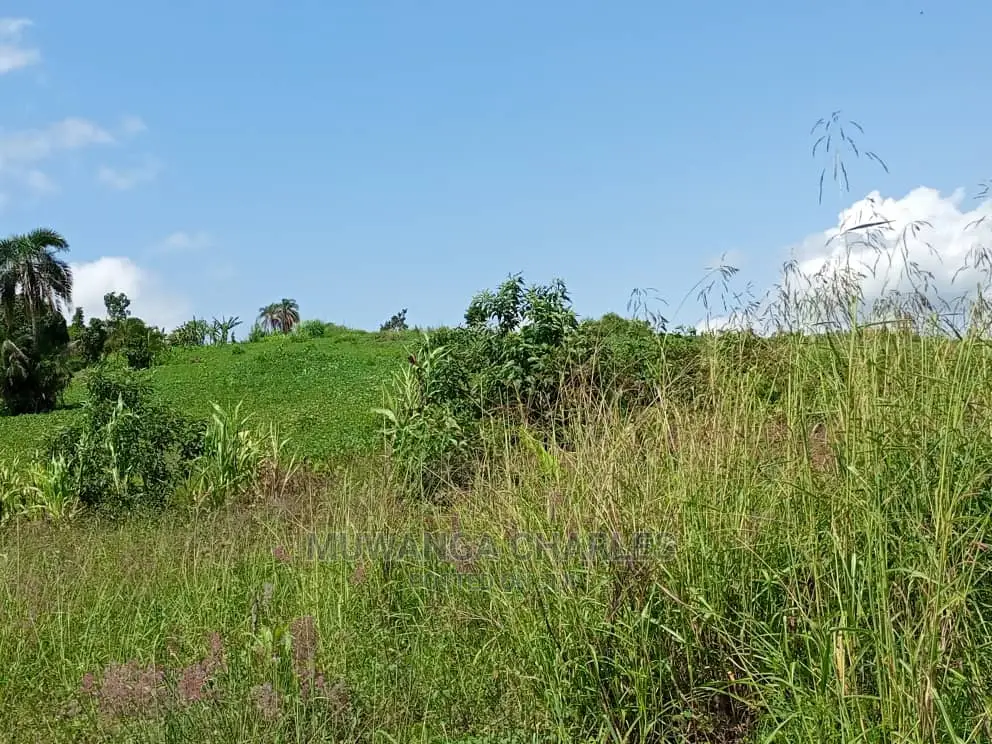 Plot in Buwate on Quick Sale in Central Division