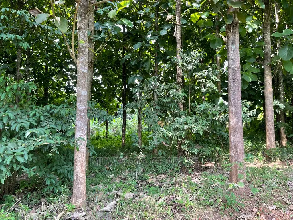 30acres of Land in Ndeje Bombo on Quick Sale in Central Division