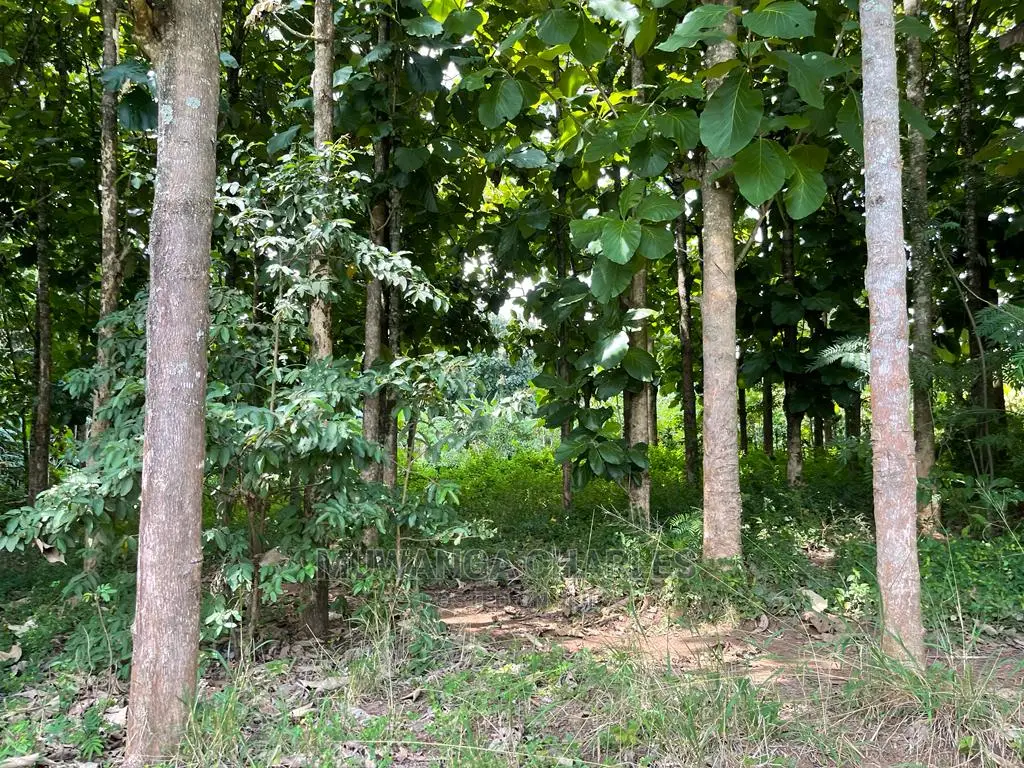 30acres of Land in Ndeje Bombo on Quick Sale in Central Division