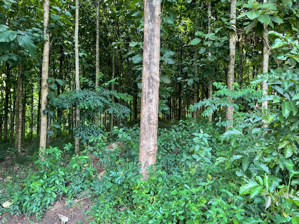 30acres of Land in Ndeje Bombo on Quick Sale in Central Division