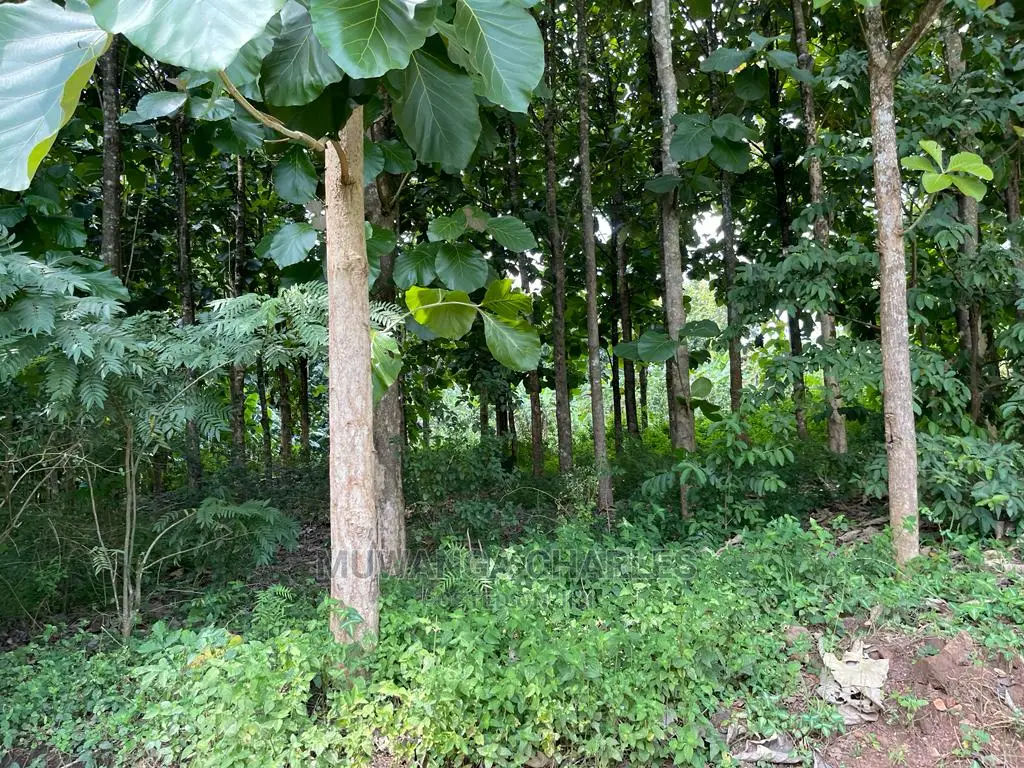 30acres of Land in Ndeje Bombo on Quick Sale in Central Division