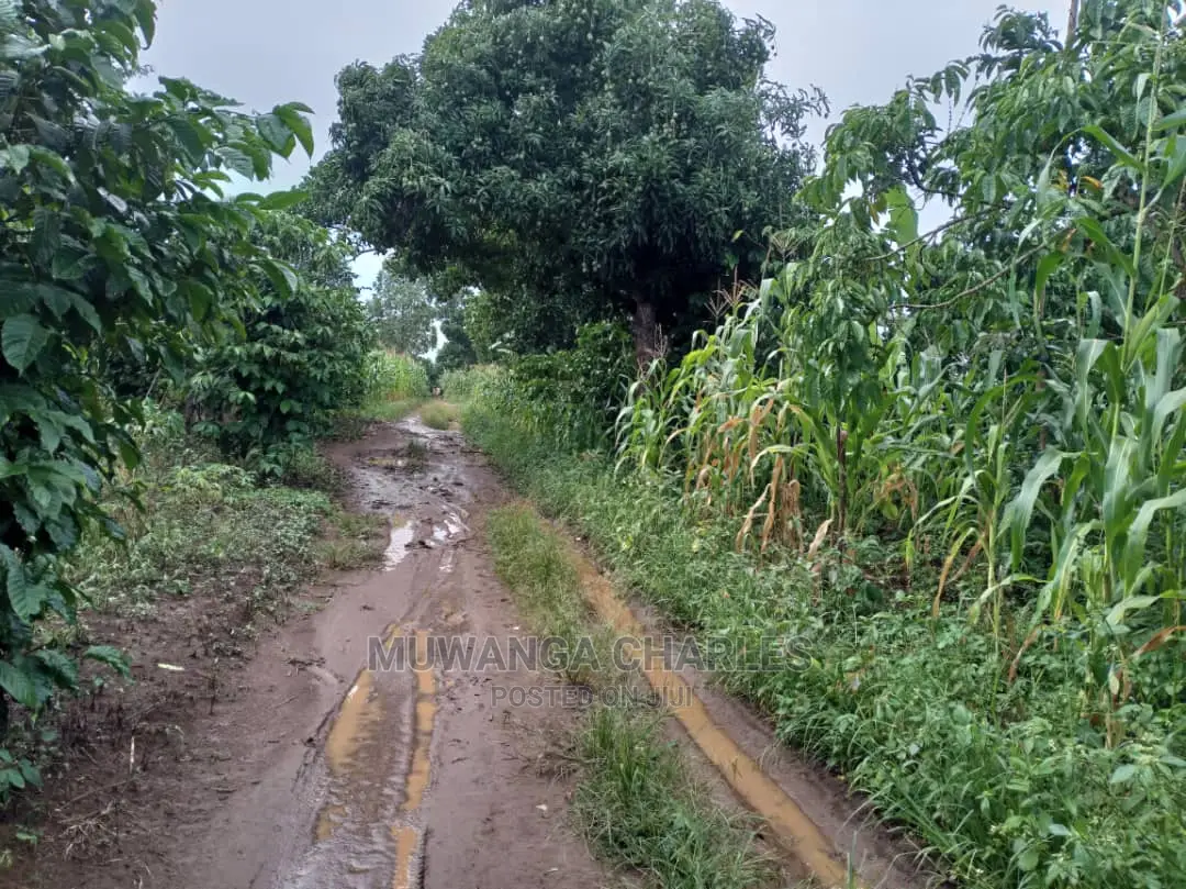 5acres of Land in Wakatayi on Quick Sale in Central Division