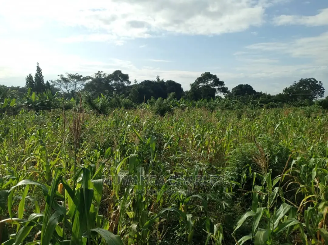 5acres of Land in Wakatayi on Quick Sale in Central Division