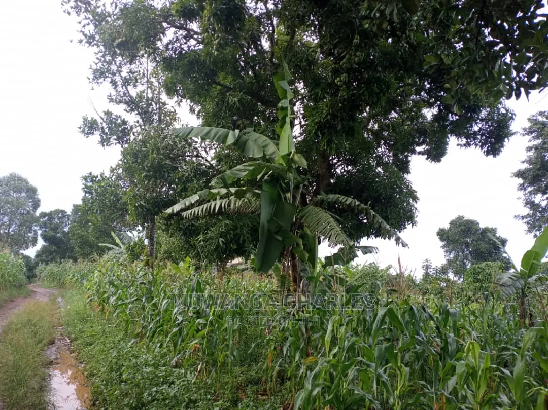 5acres of Land in Wakatayi on Quick Sale in Central Division