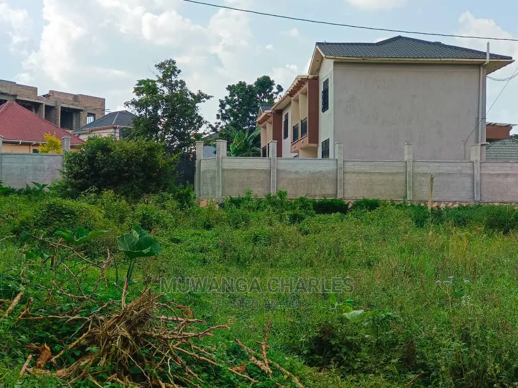 Plot's in Kungu on Quick Sale in Central Division