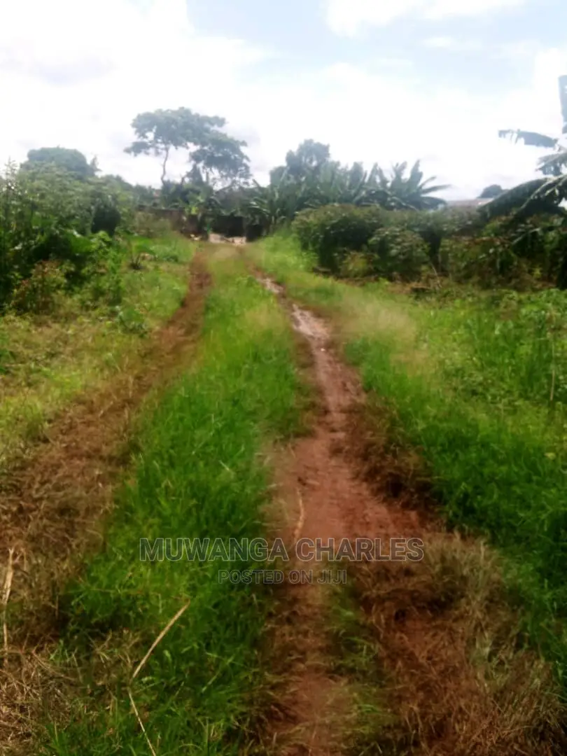 Plot's in Gayaza Kijabijo on Quick Sale in Central Division