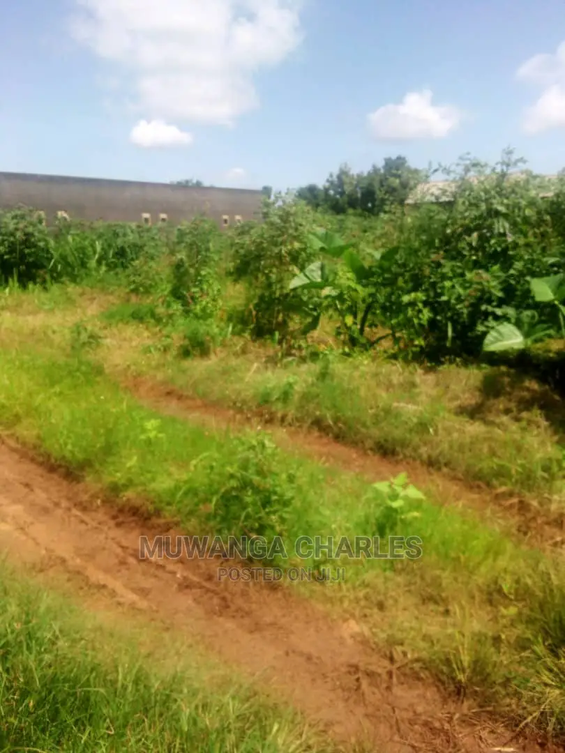 Plot's in Gayaza Kijabijo on Quick Sale in Central Division