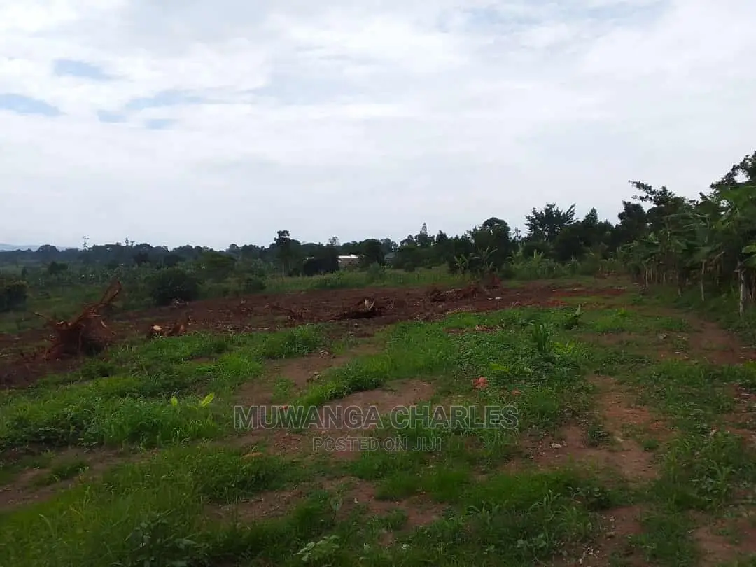 Land in Wabutungulu on Quick Sale in Central Division