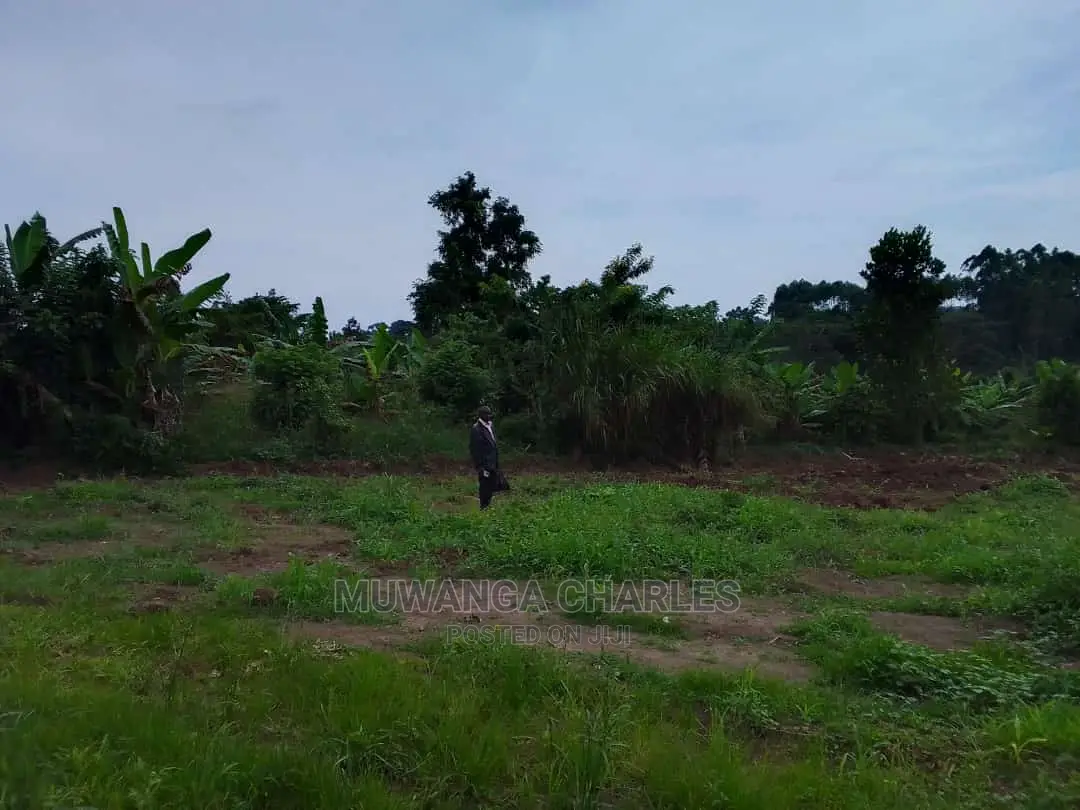 Land in Wabutungulu on Quick Sale in Central Division